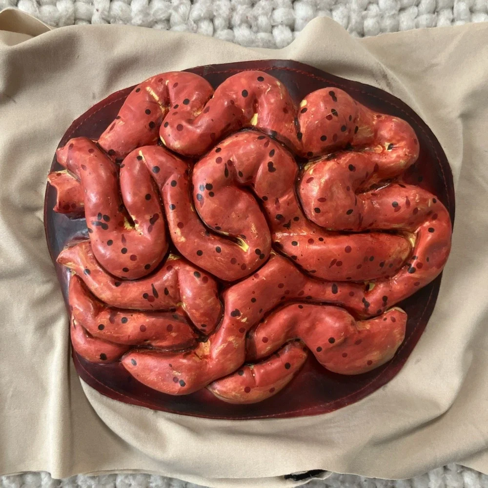 Halloween Fake Severed Body Parts Organs Intestine Wrap‎ Dead Zombie Creepy